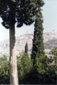 IMG 3